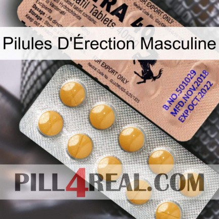 Male Erection Pills 41